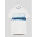 Mens Graphic T-Shirt